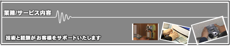業務/サービス内容