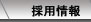 採用情報